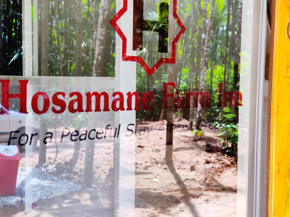 Hosamane Farm Inn Sringeri Exteriér fotografie