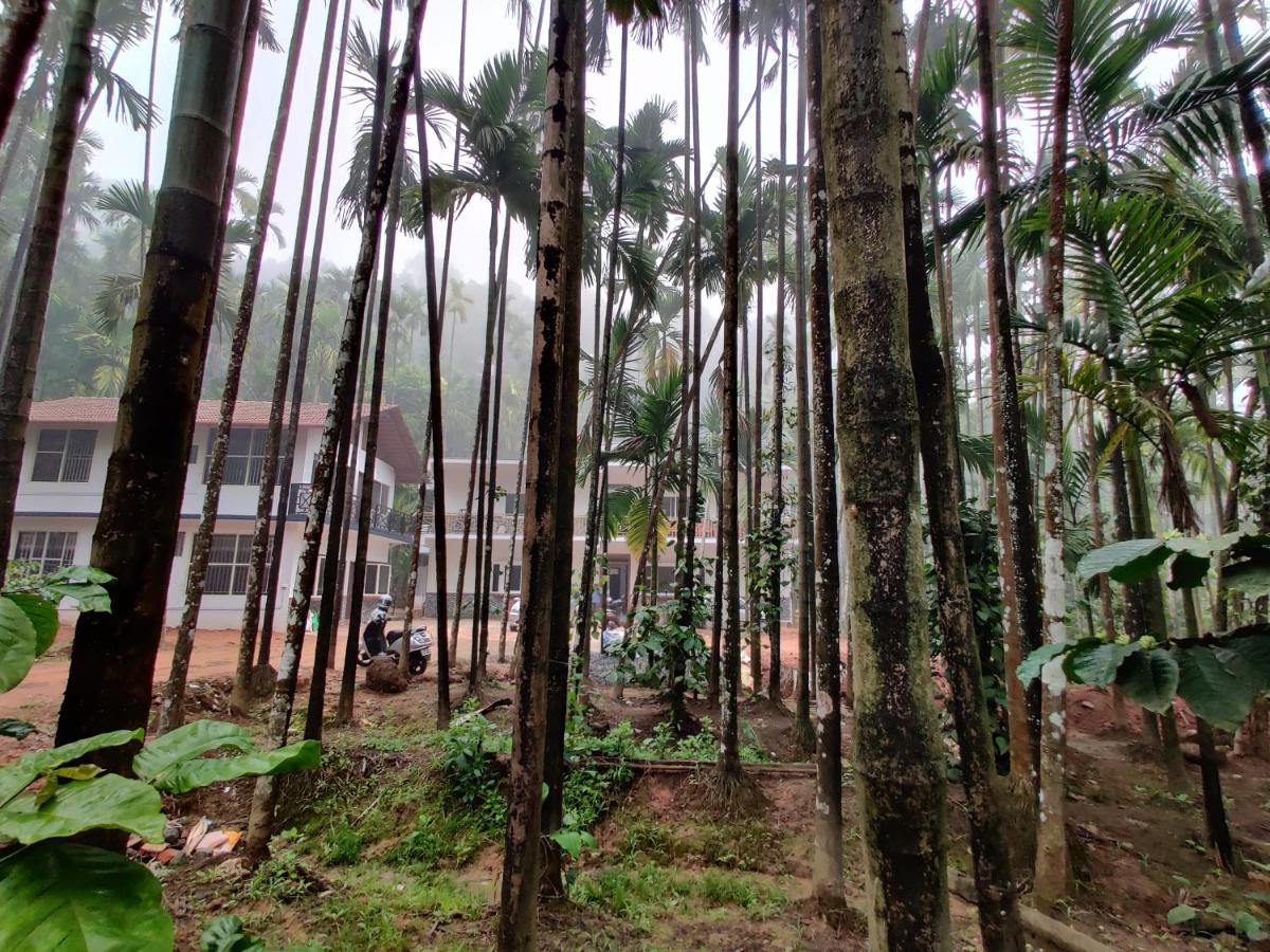 Hosamane Farm Inn Sringeri Exteriér fotografie