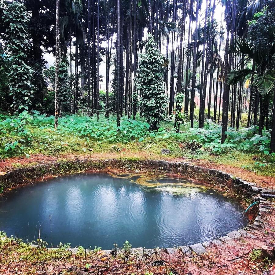 Hosamane Farm Inn Sringeri Exteriér fotografie